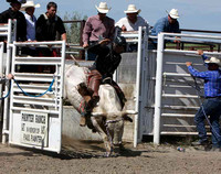 2011 Buffalo Regional Rodeo - Sun Perf