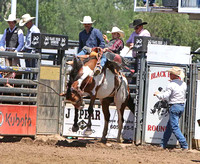 2022 Butte Co 4H Rodeo B (broncs, bulls, ropes & poles)